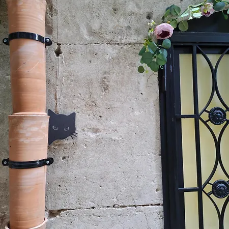Apartment Concio Aureo - Hermitage Palermo